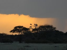 Western_Corridor_(Kirawira)2003-102